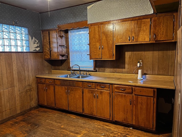 kitchen featuring dark hardwood / wood-style flooring and sink