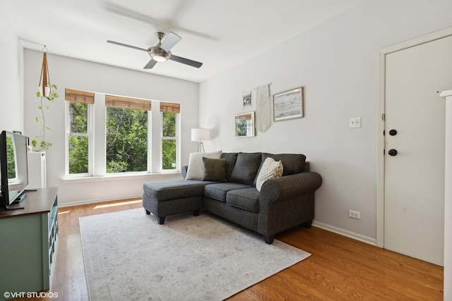 living room with hardwood / wood-style floors and ceiling fan