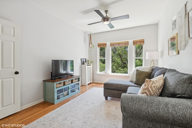 living room featuring ceiling fan and wood-type flooring