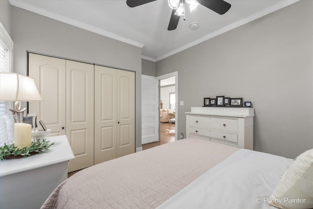 bedroom with crown molding, ceiling fan, and a closet