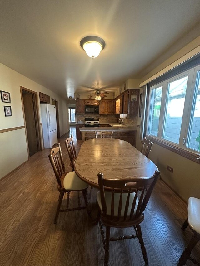 dining room featuring dark wood-type flooring, ceiling fan, and sink