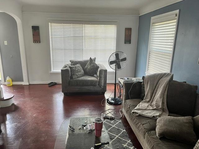 living room featuring a healthy amount of sunlight