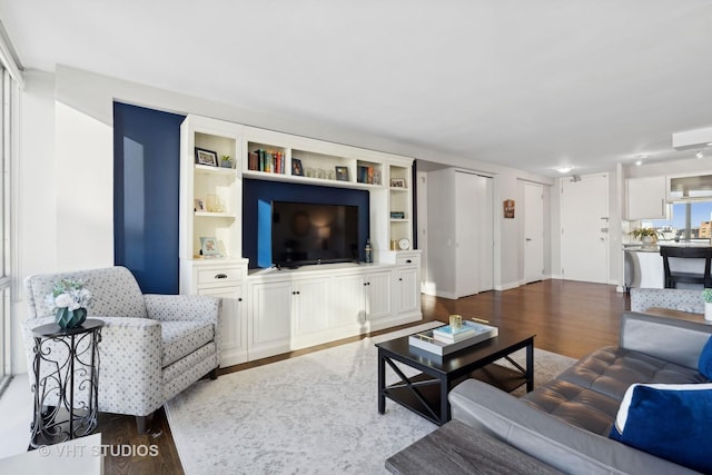 living room featuring hardwood / wood-style floors