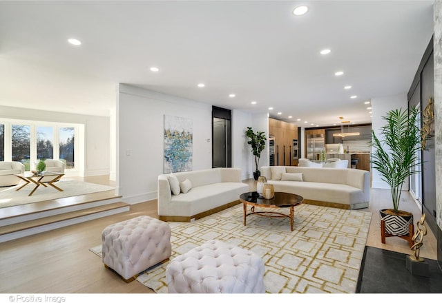 living room with light wood-type flooring