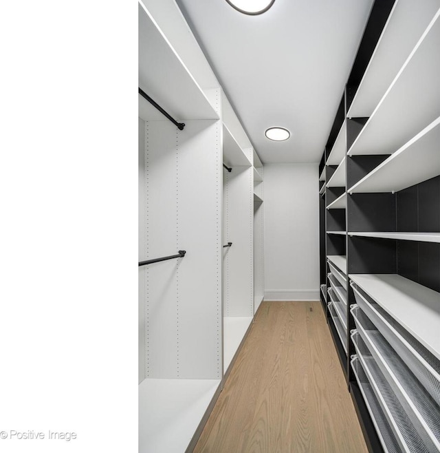 spacious closet with light hardwood / wood-style floors