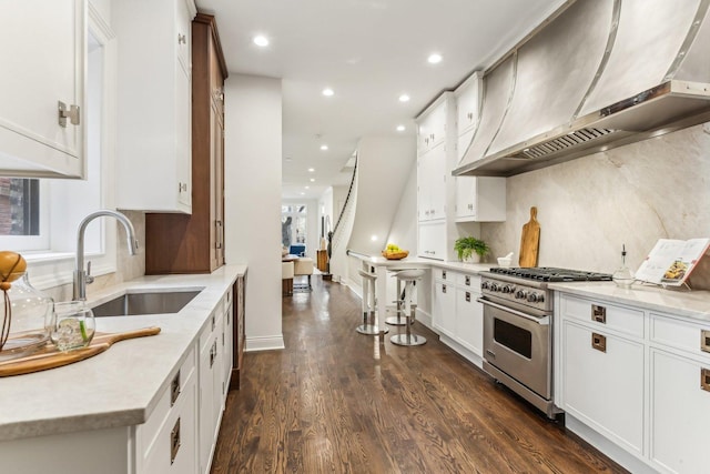 kitchen with sink, white cabinets, dark hardwood / wood-style flooring, custom exhaust hood, and high end stainless steel range oven