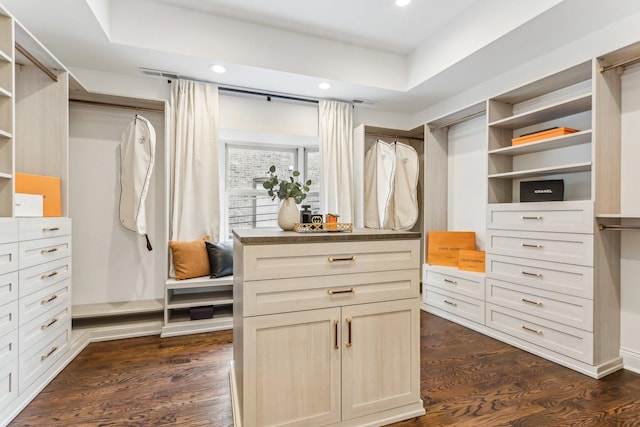 spacious closet featuring dark hardwood / wood-style flooring