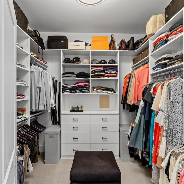 spacious closet with light carpet