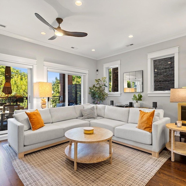 living room featuring ceiling fan, ornamental molding, and wood-type flooring