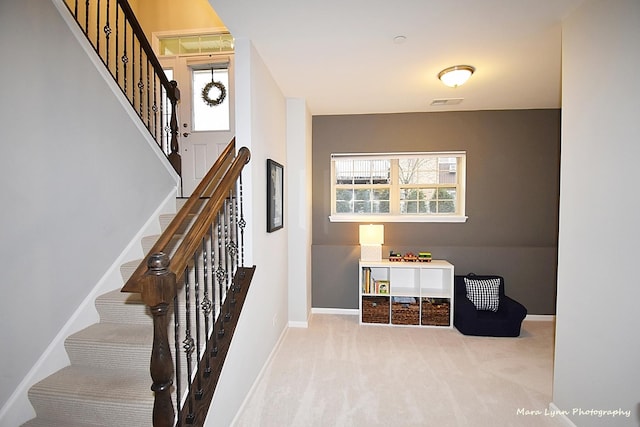 stairway with carpet floors