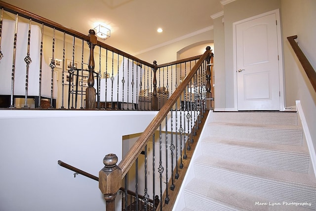 staircase featuring carpet and crown molding