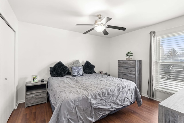 bedroom featuring ceiling fan, dark hardwood / wood-style flooring, and a closet