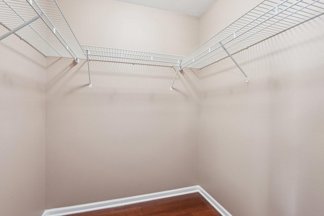 spacious closet featuring hardwood / wood-style flooring