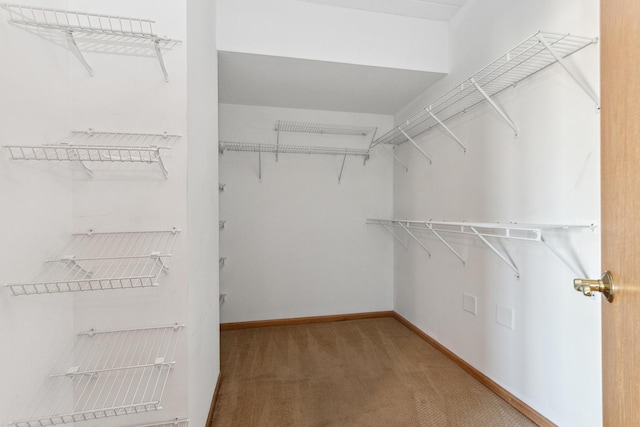 spacious closet with carpet flooring