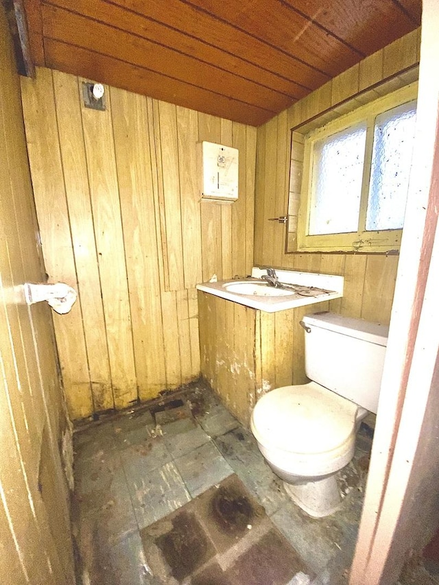 bathroom with toilet and sink