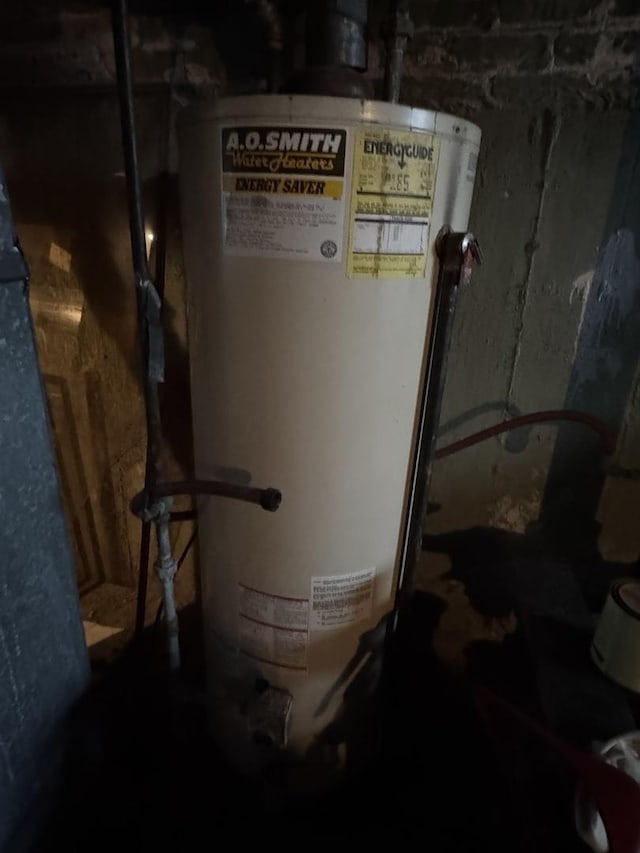 utility room with gas water heater