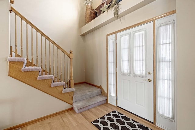 entrance foyer featuring wood-type flooring