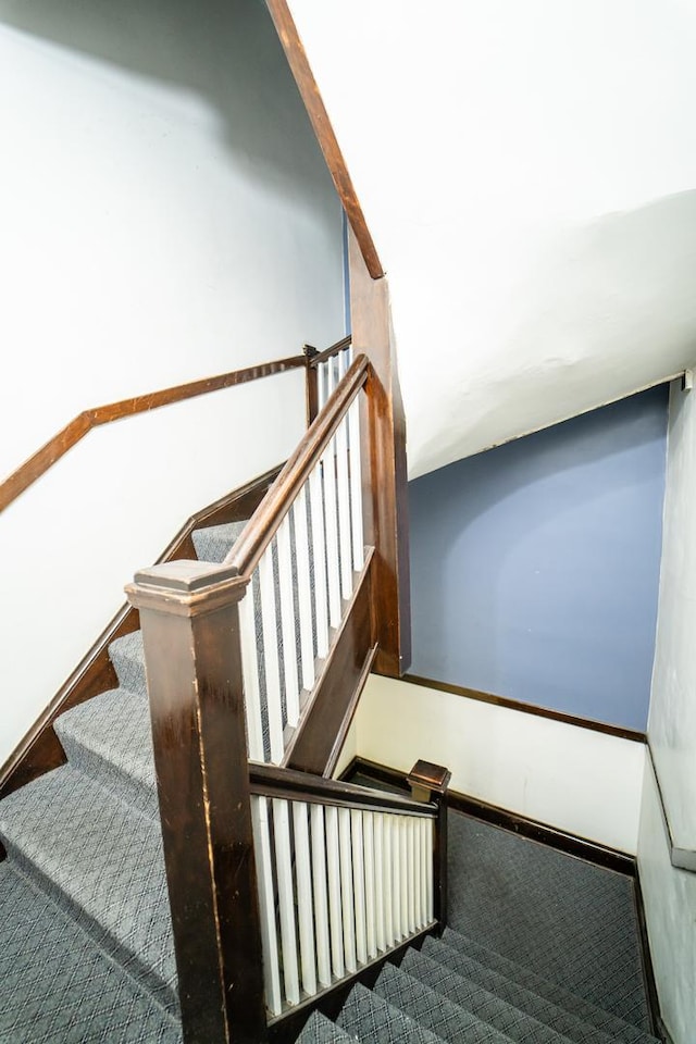 stairs featuring carpet flooring