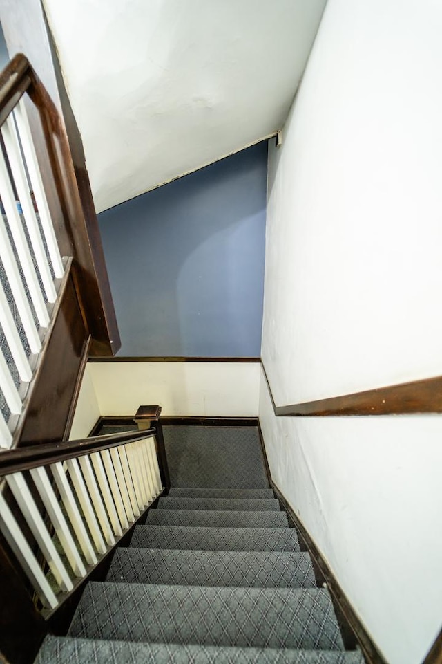 stairs featuring carpet floors