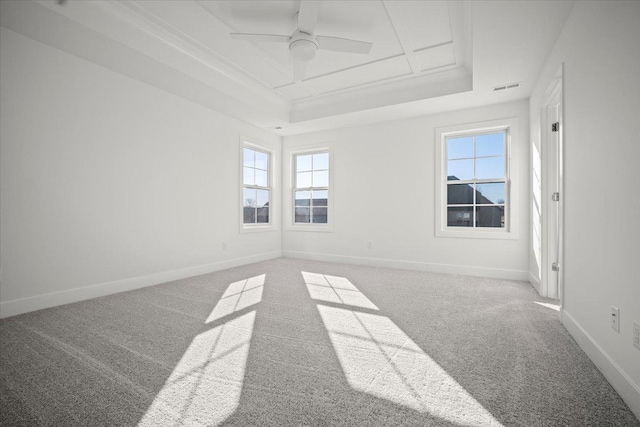 unfurnished room with ceiling fan, a raised ceiling, and carpet