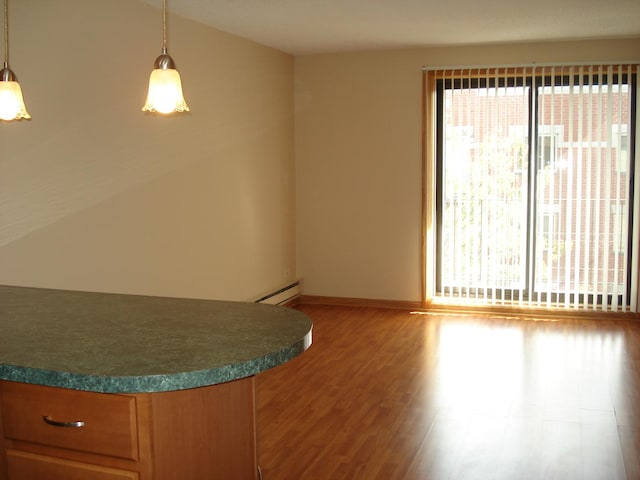 unfurnished room with light hardwood / wood-style floors and a baseboard heating unit