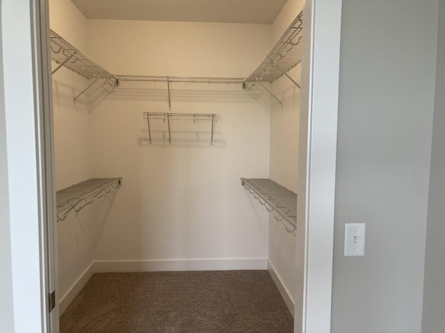 walk in closet featuring dark colored carpet