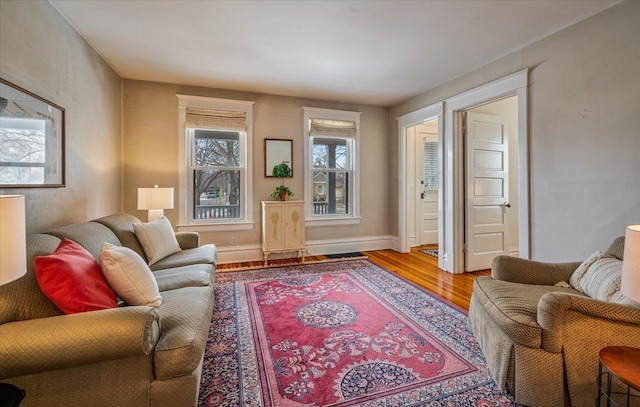 living room featuring hardwood / wood-style floors