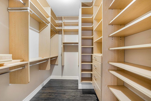 spacious closet featuring dark hardwood / wood-style flooring