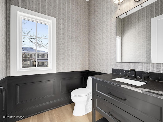 bathroom with vanity, wood-type flooring, and toilet