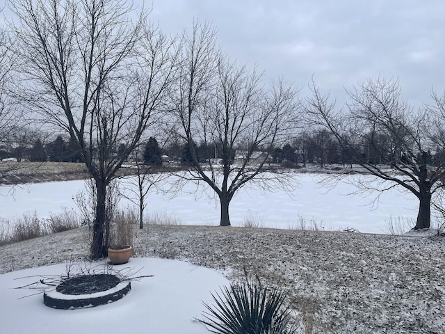 view of snowy yard