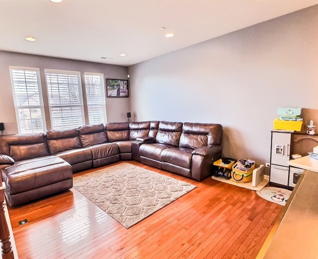 living room featuring light hardwood / wood-style flooring