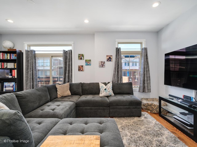 living room with wood-type flooring