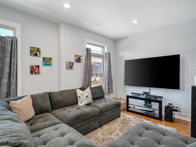 living room featuring hardwood / wood-style flooring