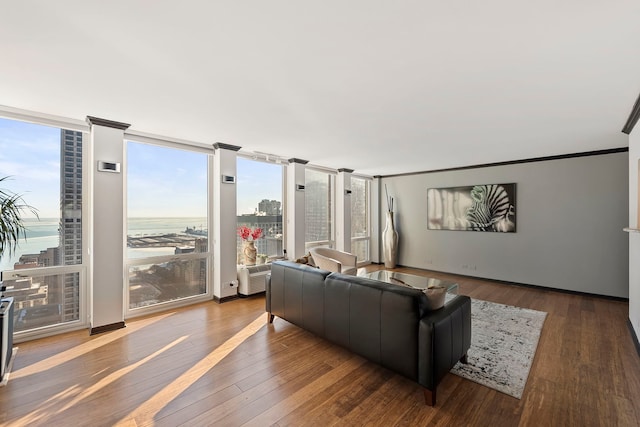 living room featuring hardwood / wood-style flooring, a water view, and plenty of natural light