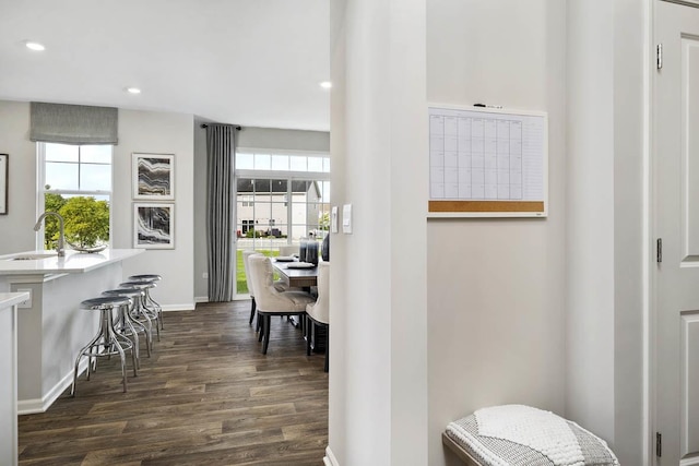 interior space featuring sink and dark hardwood / wood-style flooring