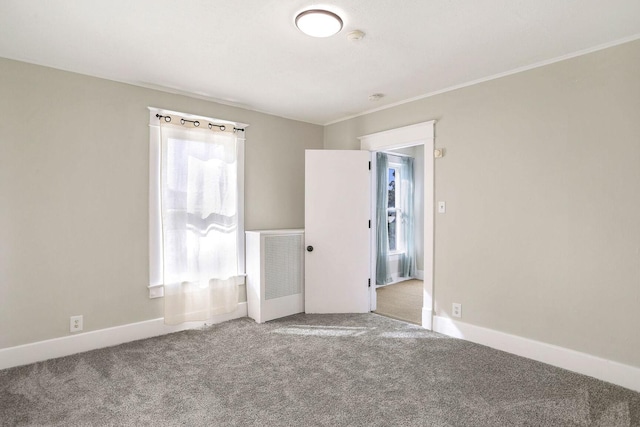 empty room with carpet flooring and a wealth of natural light