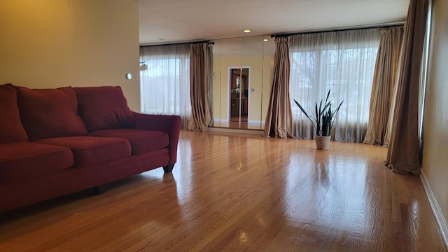 living room featuring a healthy amount of sunlight and light hardwood / wood-style flooring