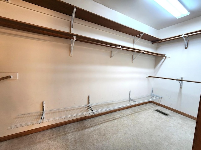 walk in closet with carpet flooring