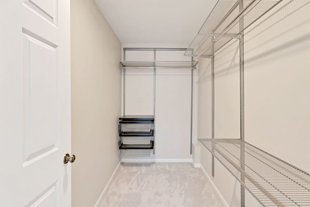 spacious closet with light colored carpet