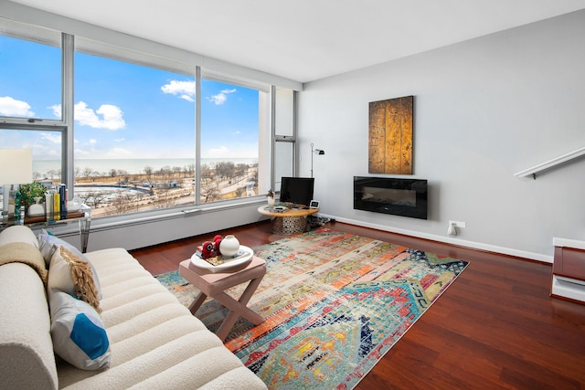 living room featuring dark wood-type flooring