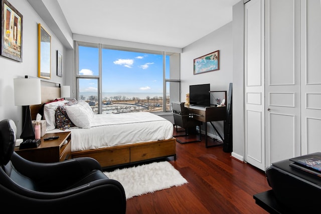 bedroom with dark wood-type flooring and a closet