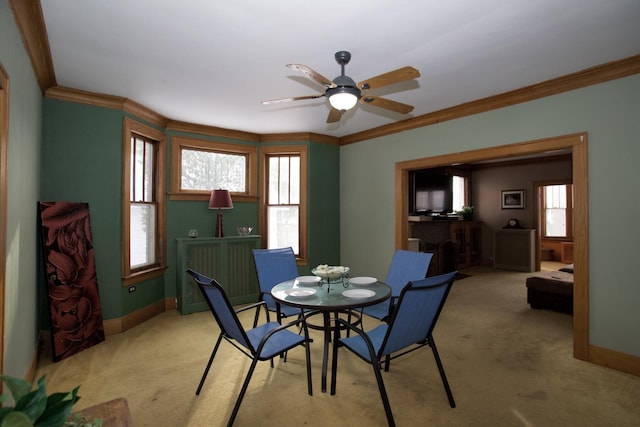 carpeted dining room with ceiling fan and ornamental molding