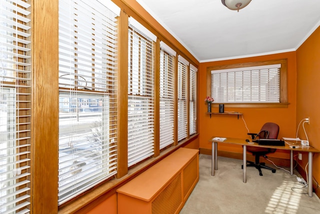 carpeted office featuring ornamental molding