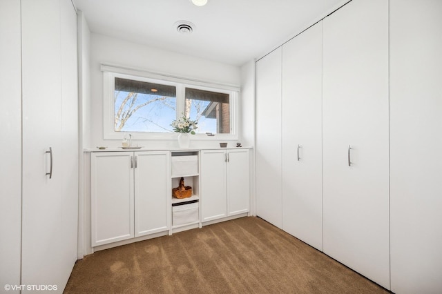 closet with sink