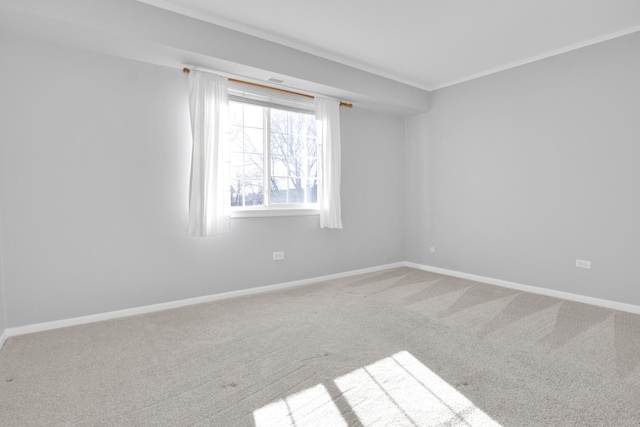 carpeted empty room featuring crown molding