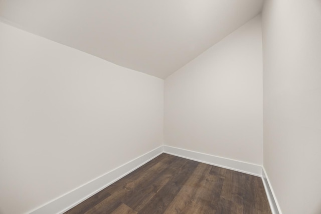 interior space featuring vaulted ceiling and dark wood-type flooring