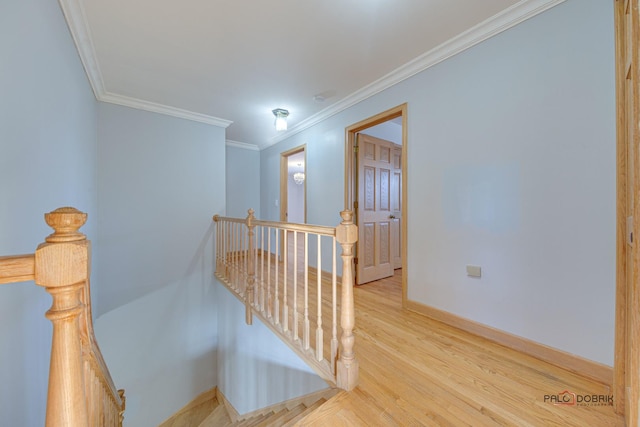 hall featuring crown molding and light hardwood / wood-style flooring