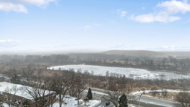 property view of water featuring a mountain view