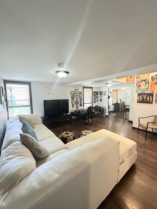 110 S Cherry St, Somonauk, IL 60552 - living room featuring plenty of natural light and wood finished floors