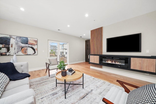 living room with wood-type flooring